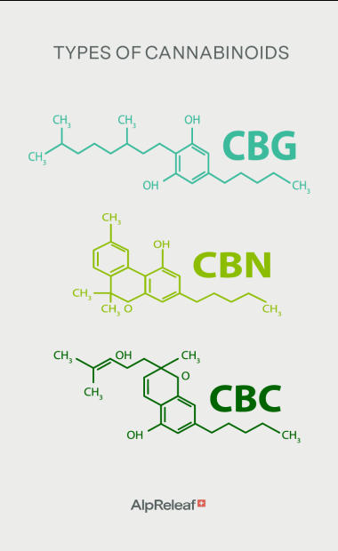 Types of Cannabinoids_MOBILE-03
